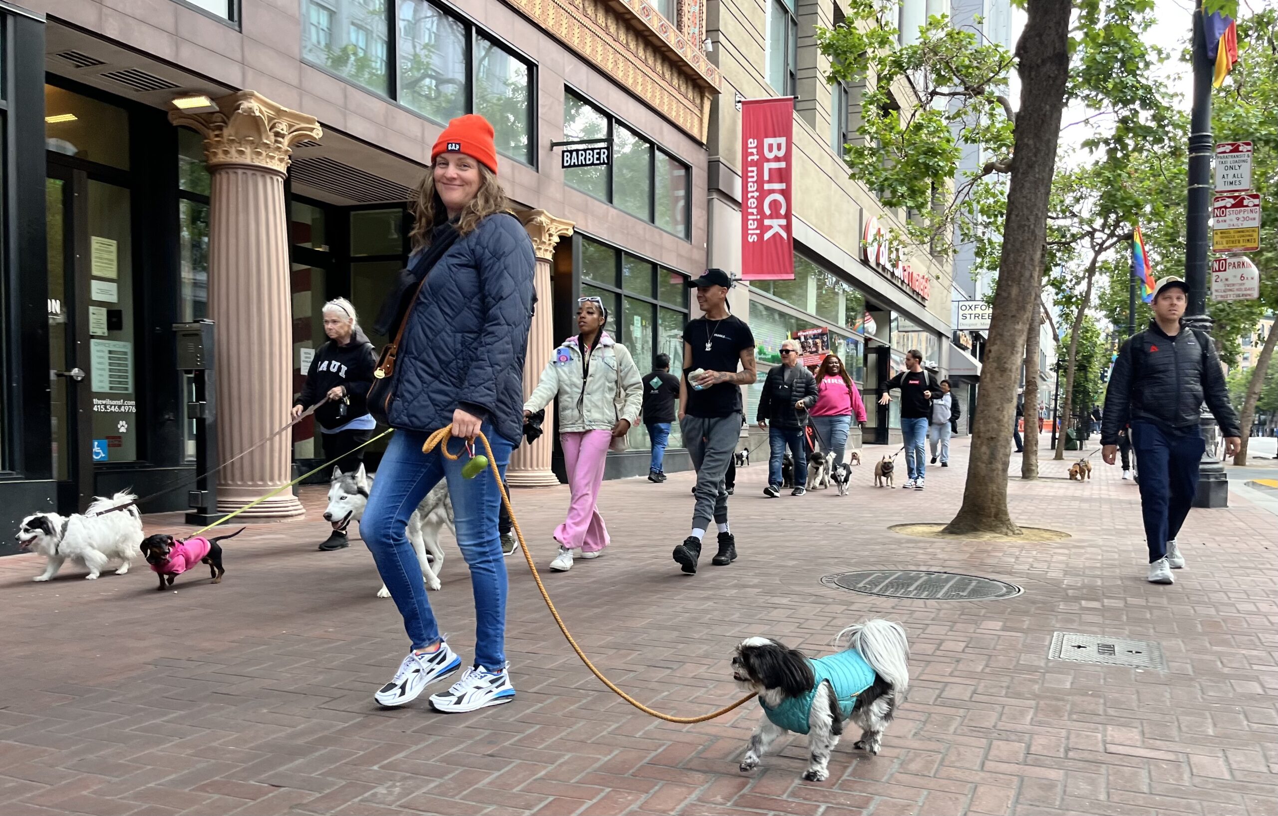 group of people walking their dogs